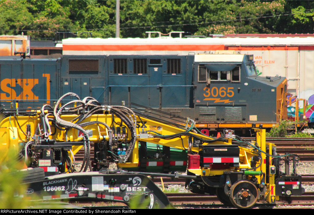 Power resting in the yard